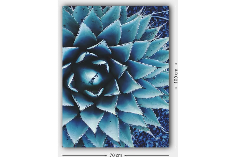 Dekorativ Canvasbilde 70x100 cm - Flerfarget - Innredning - Bilder & kunst - Lerretsbilder