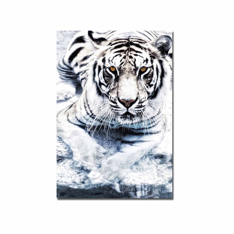 Dekorativ Canvasbilde 70x100 cm - Flerfarget - Innredning - Bilder & kunst - Lerretsbilder