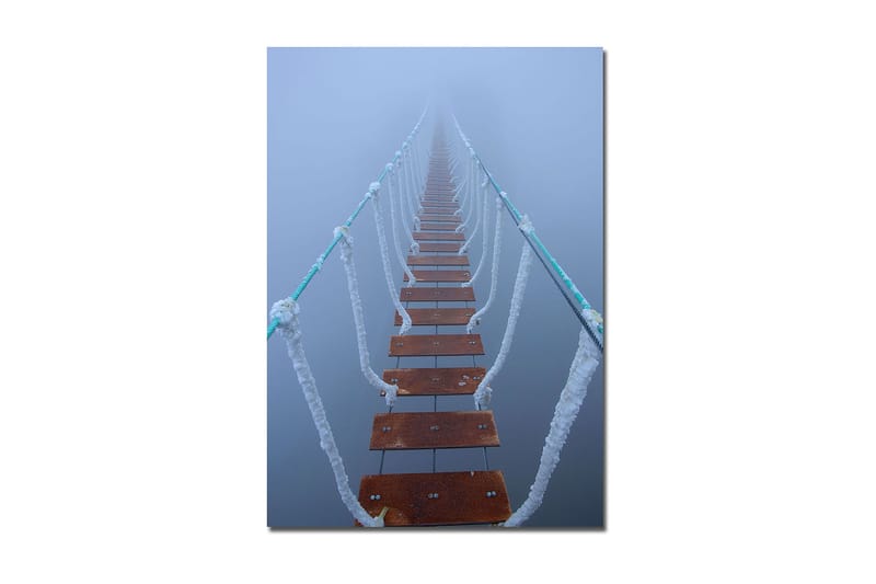 Dekorativ Canvasbilde 70x100 cm - Flerfarget - Innredning - Bilder & kunst - Lerretsbilder