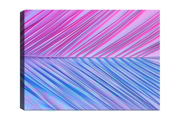 Dekorativ Canvasbilde 70x100 cm - Flerfarget - Innredning - Bilder & kunst - Lerretsbilder