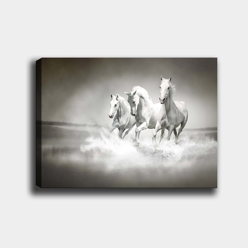 Dekorativ Canvasbilde 70x100 cm - Flerfarget - Innredning - Bilder & kunst - Lerretsbilder