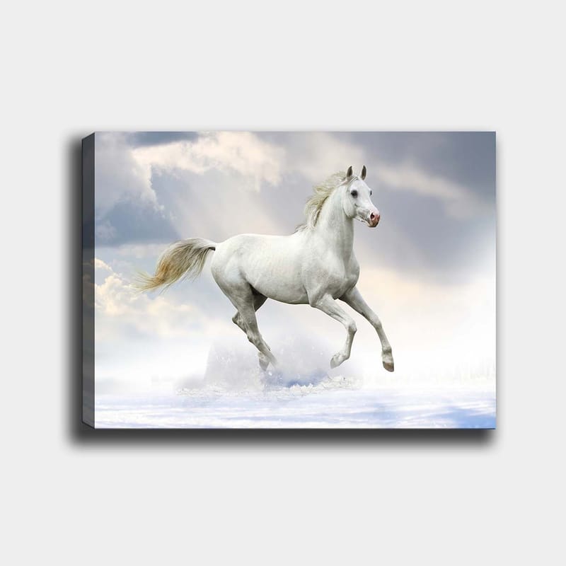Dekorativ Canvasbilde 70x100 cm - Flerfarget - Innredning - Bilder & kunst - Lerretsbilder