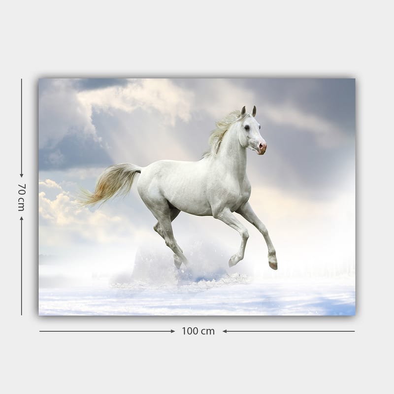 Dekorativ Canvasbilde 70x100 cm - Flerfarget - Innredning - Bilder & kunst - Lerretsbilder