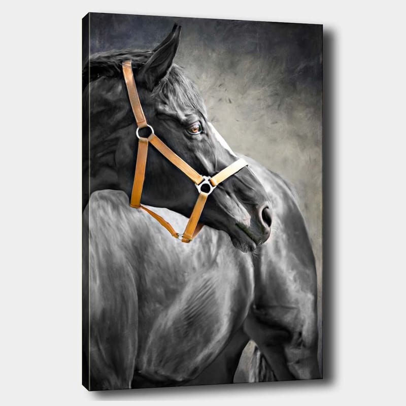 Dekorativ Canvasbilde 70x100 cm - Flerfarget - Innredning - Bilder & kunst - Lerretsbilder