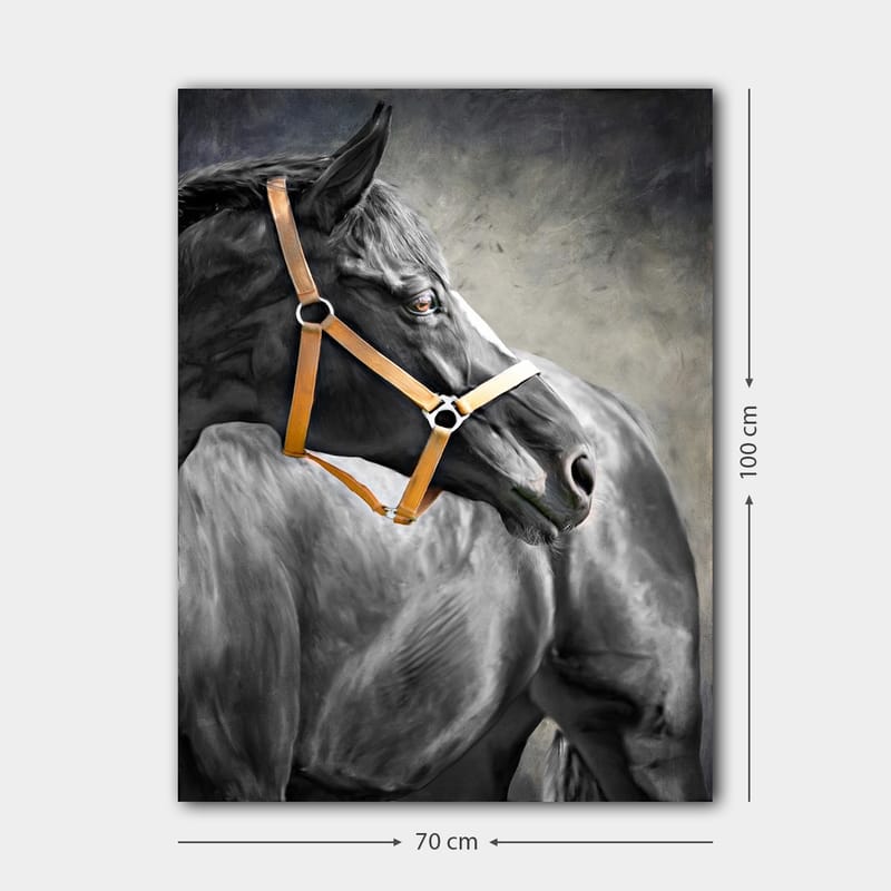 Dekorativ Canvasbilde 70x100 cm - Flerfarget - Innredning - Bilder & kunst - Lerretsbilder