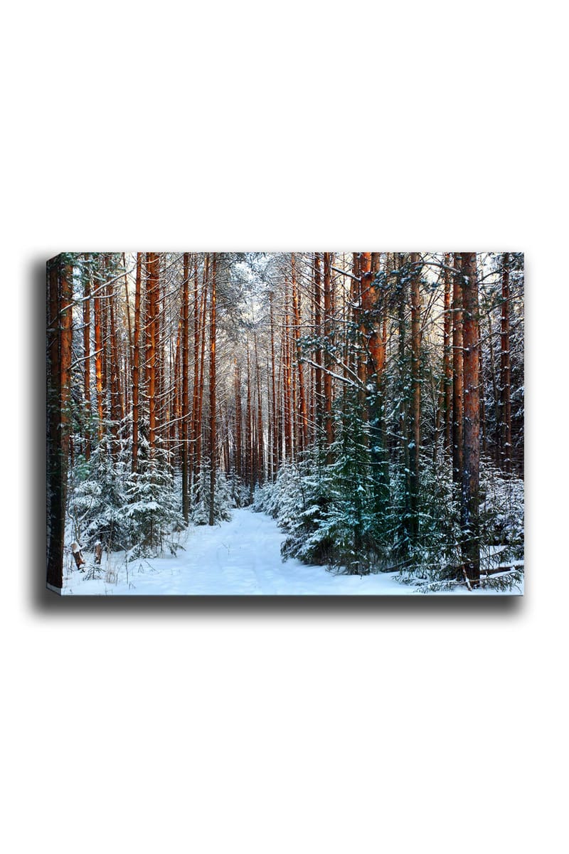 Dekorativ Canvasbilde 70x100 cm - Flerfarget - Innredning - Bilder & kunst - Lerretsbilder