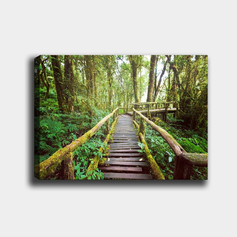 Dekorativ Canvasbilde 70x100 cm - Flerfarget - Innredning - Bilder & kunst - Lerretsbilder
