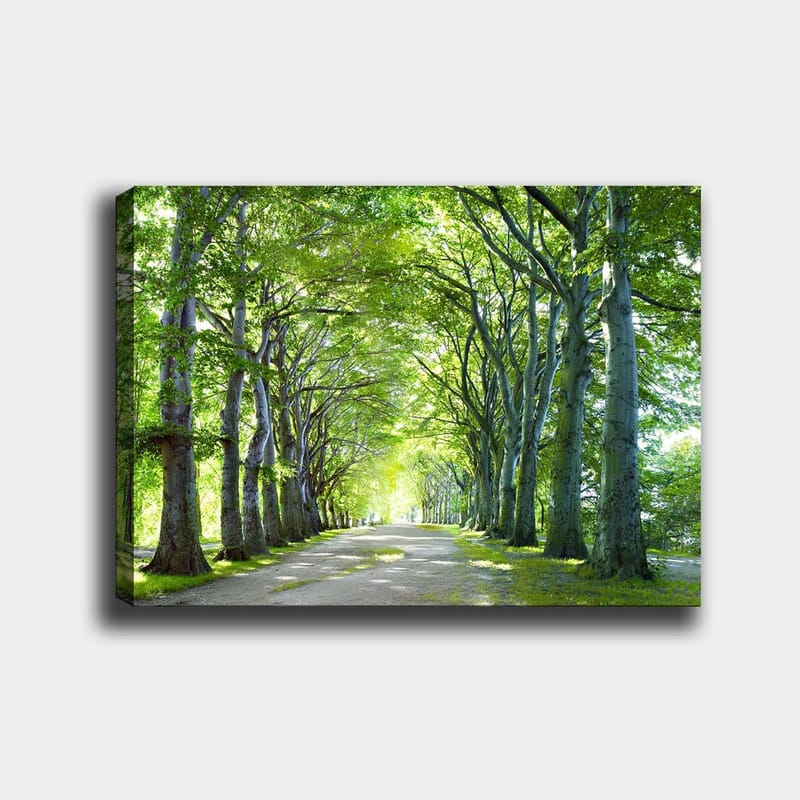 Dekorativ Canvasbilde 70x100 cm - Flerfarget - Innredning - Bilder & kunst - Lerretsbilder