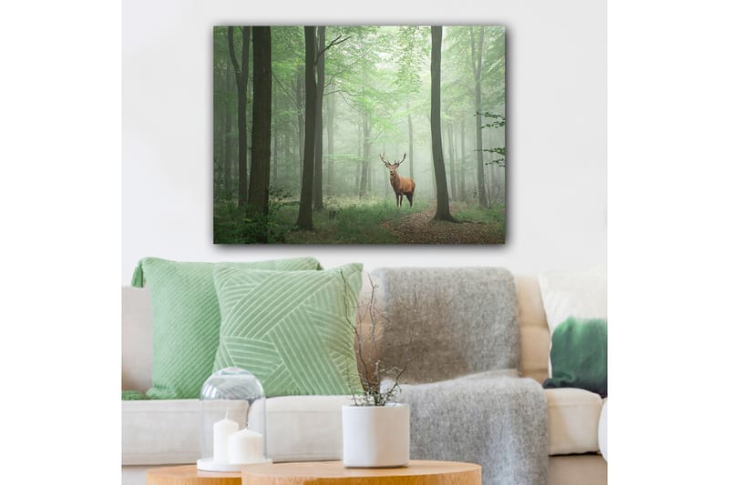 Dekorativ Canvasbilde 70x100 cm - Flerfarget - Innredning - Bilder & kunst - Lerretsbilder