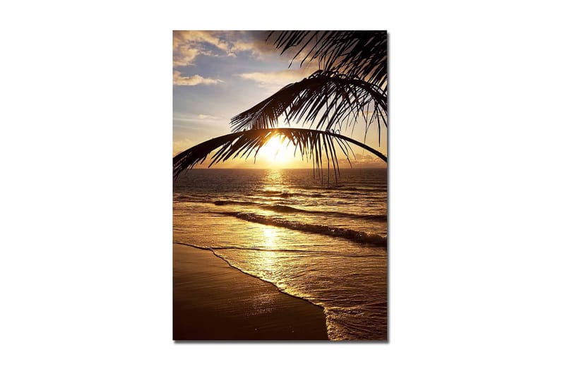 Dekorativ Canvasbilde 70x100 cm - Flerfarget - Innredning - Bilder & kunst - Lerretsbilder