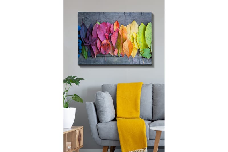 Dekorativ Canvasbilde 70x100 cm - Flerfarget - Innredning - Bilder & kunst - Lerretsbilder