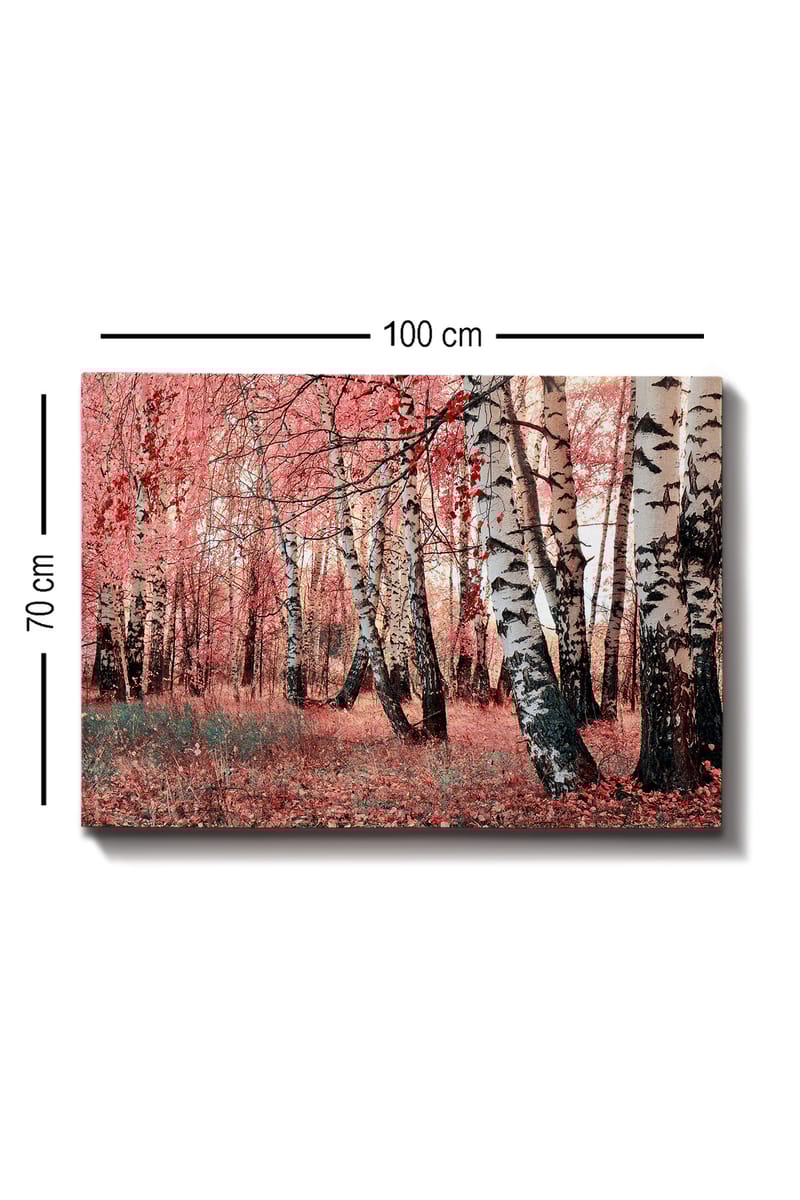 Dekorativ Canvasbilde 70x100 cm - Flerfarget - Innredning - Bilder & kunst - Lerretsbilder