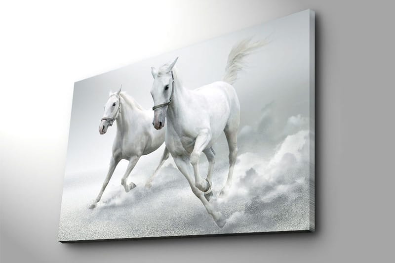 Dekorativ Canvasbilde 70x100 cm - Flerfarget - Innredning - Bilder & kunst - Lerretsbilder