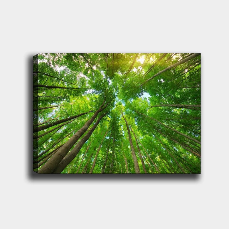Dekorativ Canvasbilde 70x100 cm - Flerfarget - Innredning - Bilder & kunst - Lerretsbilder