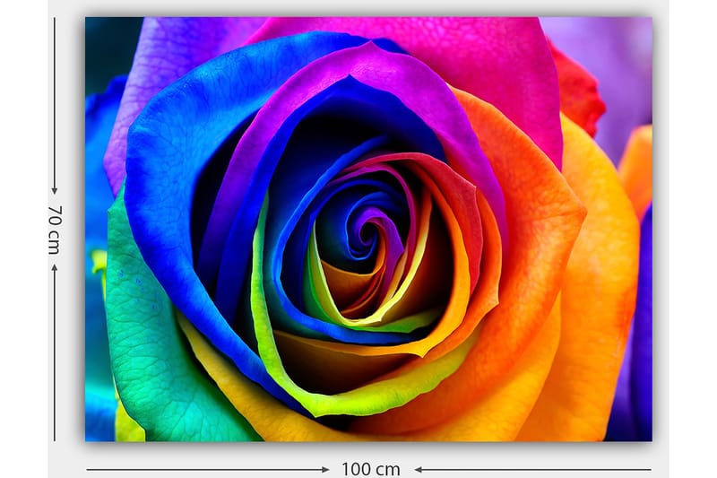 Dekorativ Canvasbilde 70x100 cm - Flerfarget - Innredning - Bilder & kunst - Lerretsbilder