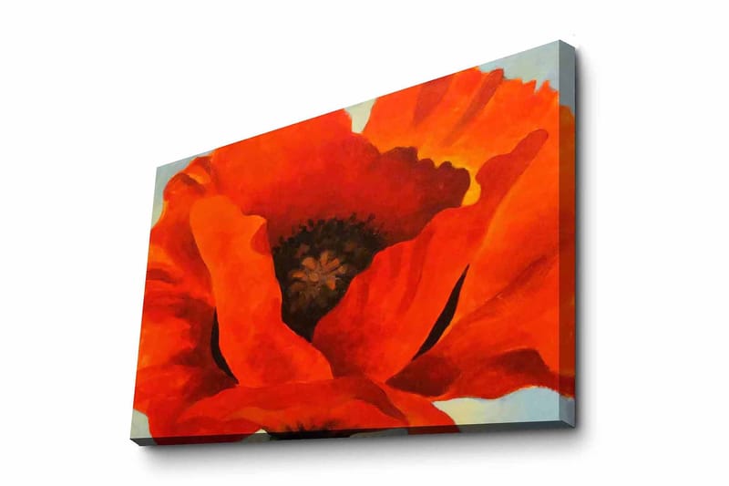 Dekorativ Canvasbilde 70x100 cm - Flerfarget - Innredning - Bilder & kunst - Lerretsbilder