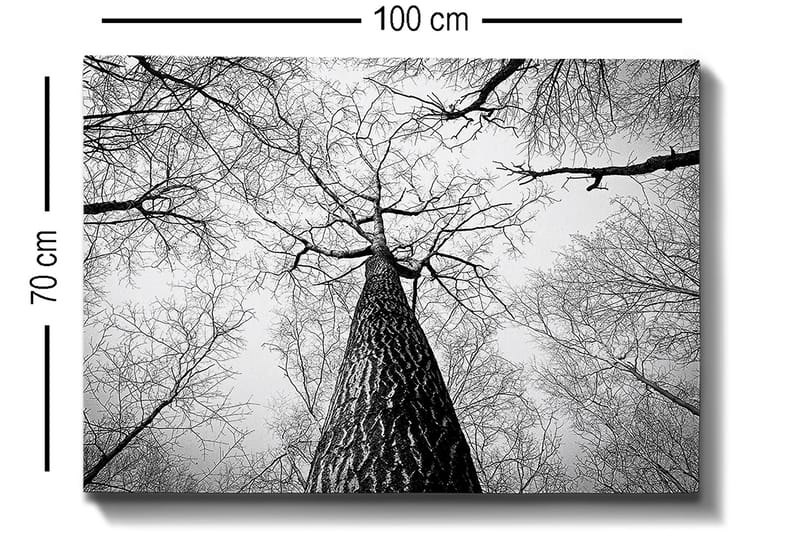 Dekorativ Canvasbilde 70x100 cm - Flerfarget - Innredning - Bilder & kunst - Lerretsbilder