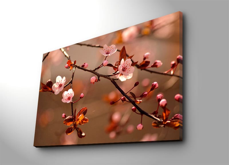 Dekorativ Canvasbilde 70x100 cm - Flerfarget - Innredning - Bilder & kunst - Lerretsbilder