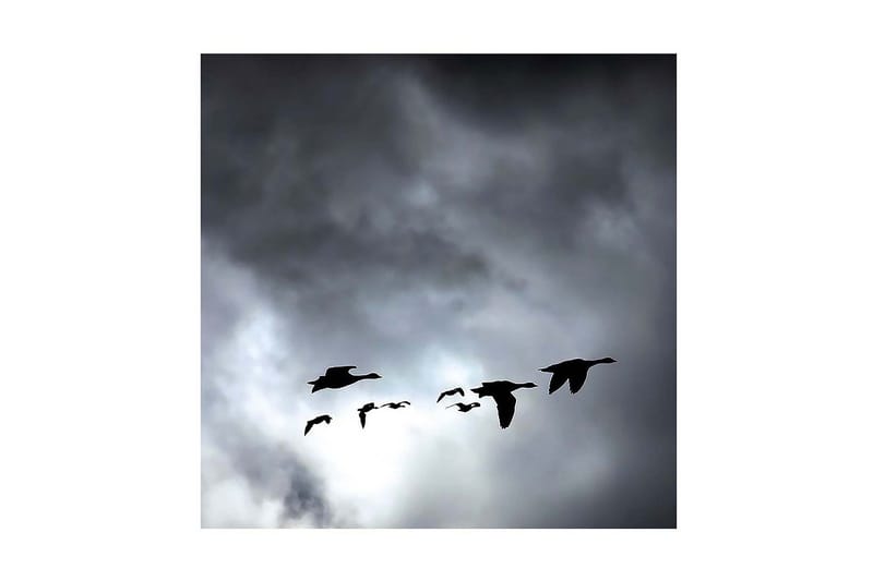 Dekorativ Canvasbilde - Flerfarget - Innredning - Bilder & kunst - Lerretsbilder