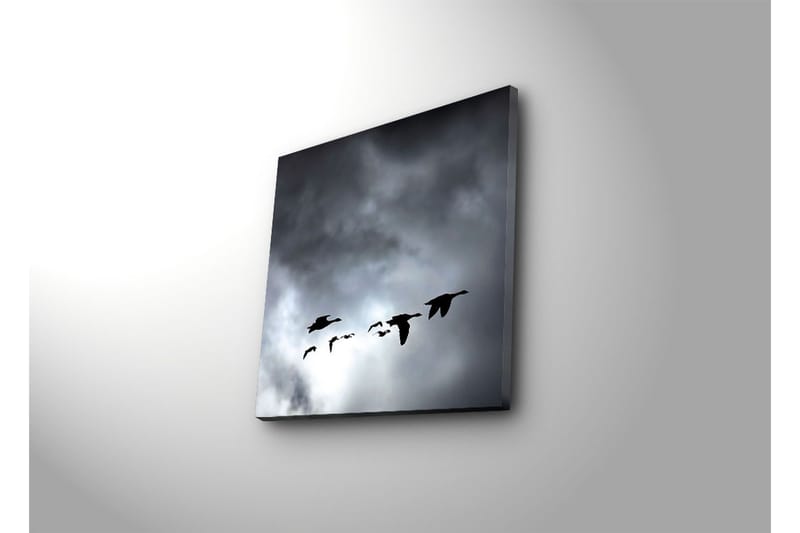 Dekorativ Canvasbilde - Flerfarget - Innredning - Bilder & kunst - Lerretsbilder