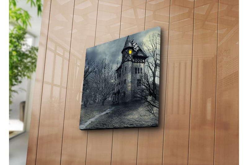 Dekorativ Canvasbilde - Flerfarget - Innredning - Bilder & kunst - Lerretsbilder