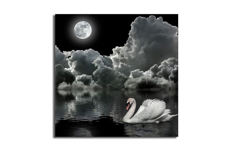 Dekorativ Canvasbilde - Flerfarget - Innredning - Bilder & kunst - Lerretsbilder