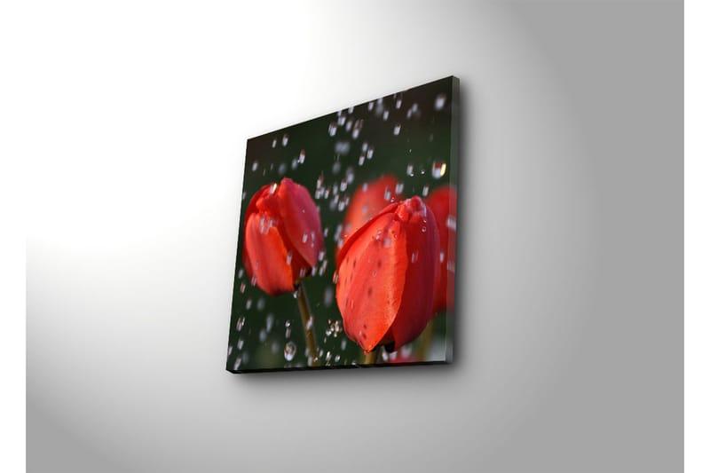Dekorativ Canvasbilde - Flerfarget - Innredning - Bilder & kunst - Lerretsbilder