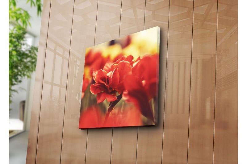 Dekorativ Canvasbilde - Flerfarget - Innredning - Bilder & kunst - Lerretsbilder