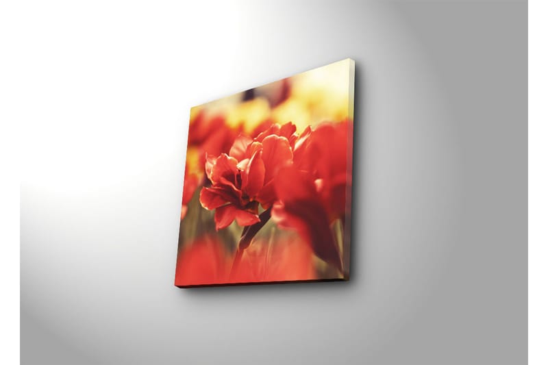 Dekorativ Canvasbilde - Flerfarget - Innredning - Bilder & kunst - Lerretsbilder