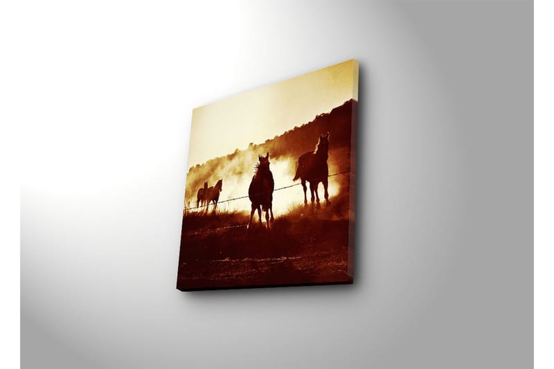 Dekorativ Canvasbilde - Flerfarget - Innredning - Bilder & kunst - Lerretsbilder