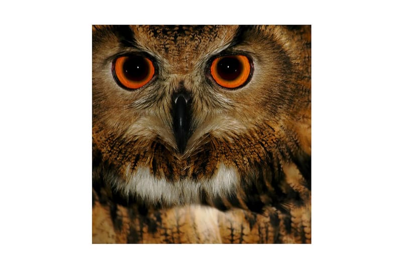 Dekorativ Canvasbilde - Flerfarget - Innredning - Bilder & kunst - Lerretsbilder