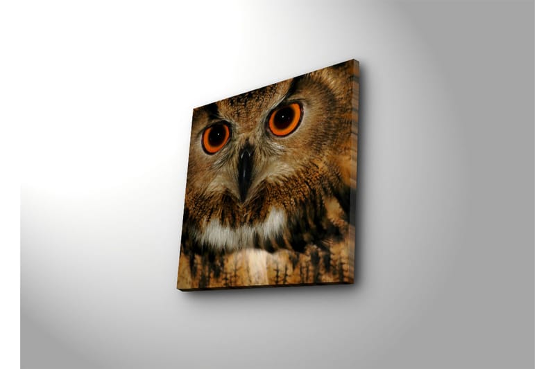 Dekorativ Canvasbilde - Flerfarget - Innredning - Bilder & kunst - Lerretsbilder