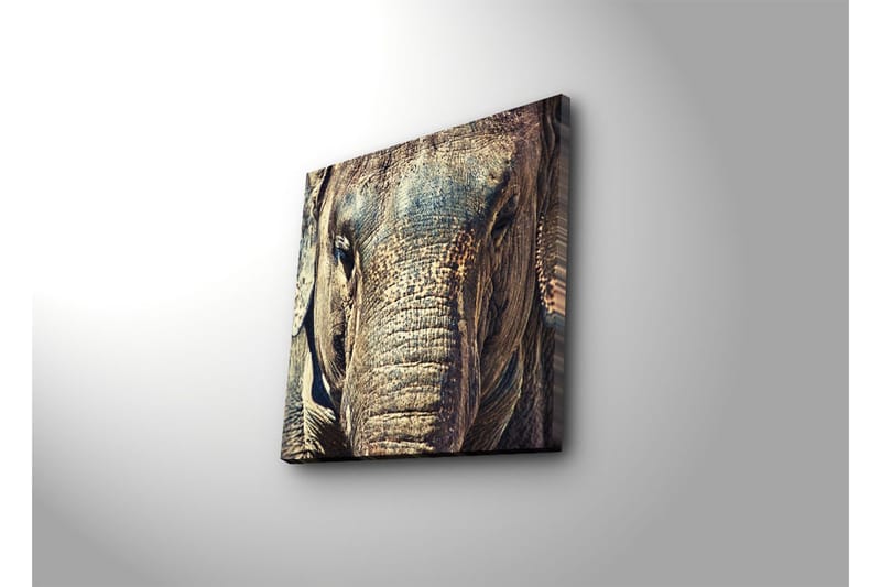 Dekorativ Canvasbilde - Flerfarget - Innredning - Bilder & kunst - Lerretsbilder
