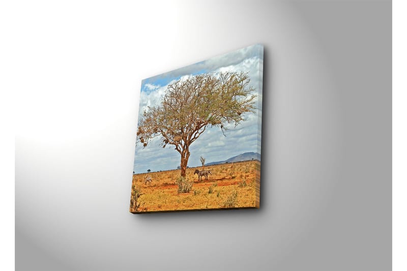 Dekorativ Canvasbilde - Flerfarget - Innredning - Bilder & kunst - Lerretsbilder