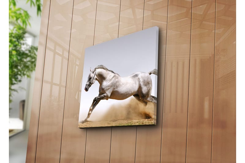 Dekorativ Canvasbilde - Flerfarget - Innredning - Bilder & kunst - Lerretsbilder