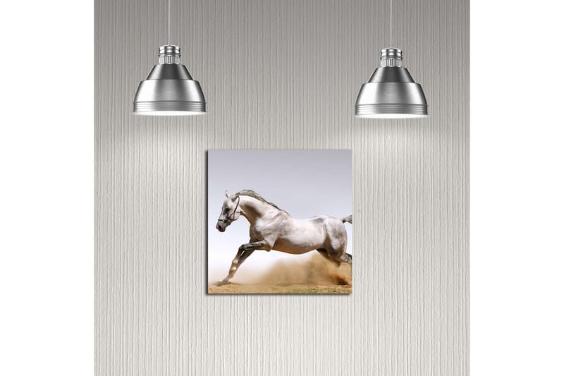 Dekorativ Canvasbilde - Flerfarget - Innredning - Bilder & kunst - Lerretsbilder