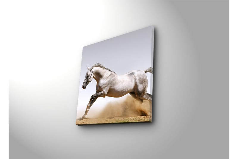 Dekorativ Canvasbilde - Flerfarget - Innredning - Bilder & kunst - Lerretsbilder