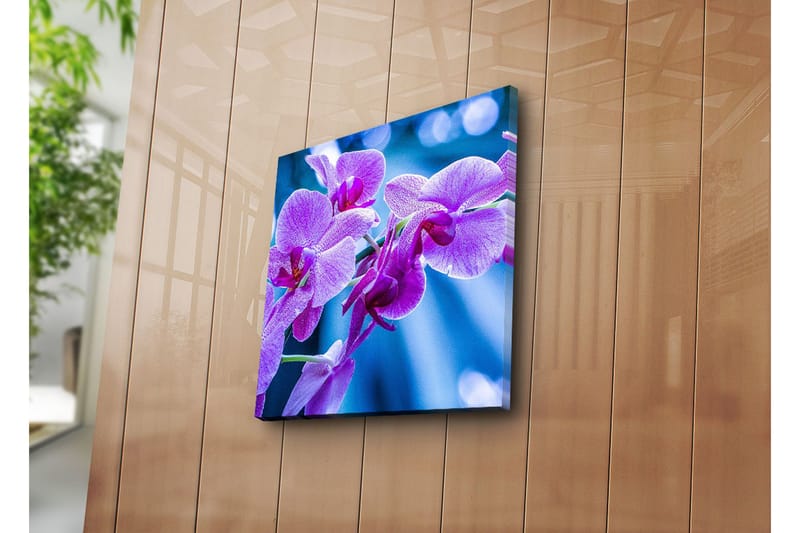 Dekorativ Canvasbilde - Flerfarget - Innredning - Bilder & kunst - Lerretsbilder