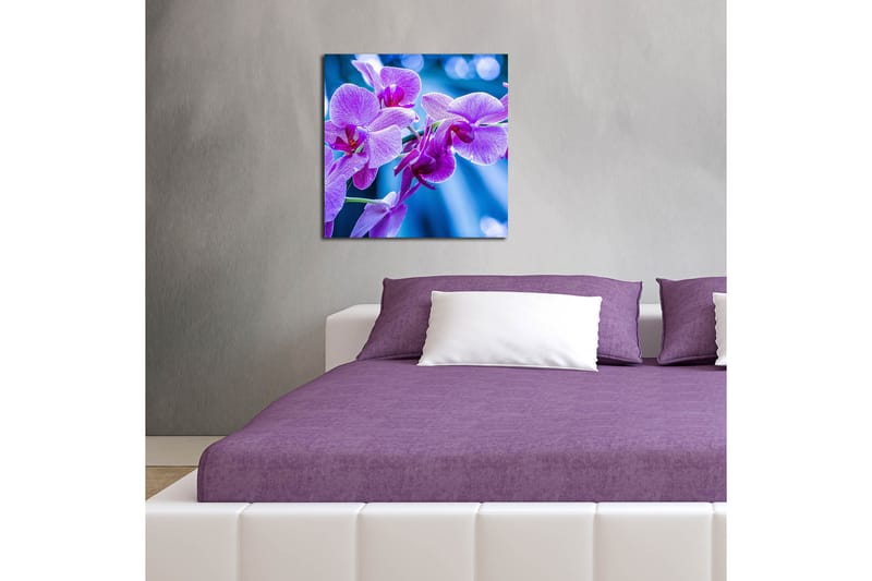 Dekorativ Canvasbilde - Flerfarget - Innredning - Bilder & kunst - Lerretsbilder