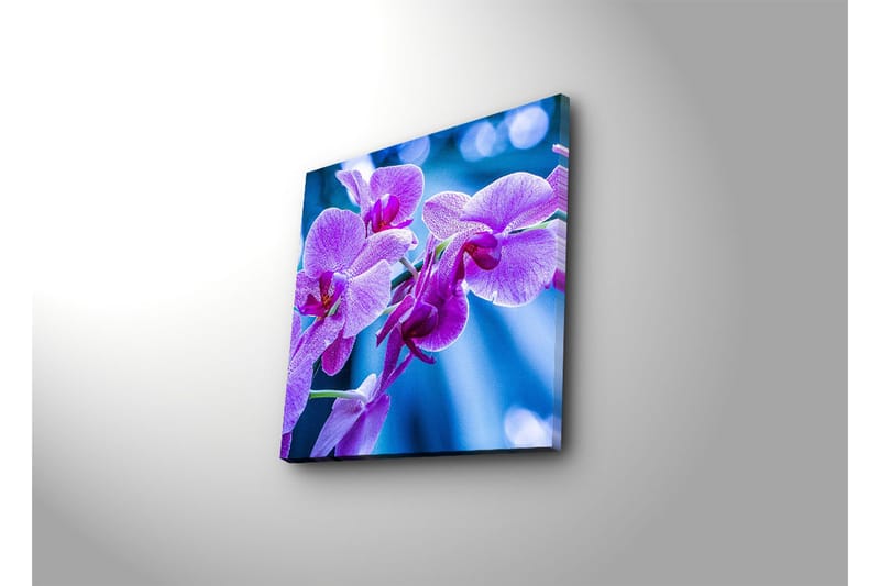 Dekorativ Canvasbilde - Flerfarget - Innredning - Bilder & kunst - Lerretsbilder