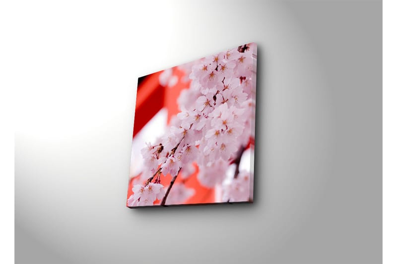 Dekorativ Canvasbilde - Flerfarget - Innredning - Bilder & kunst - Lerretsbilder