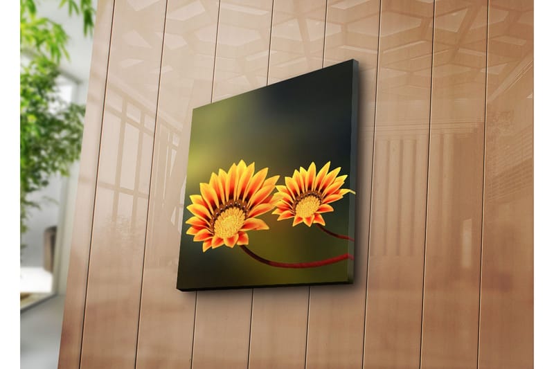 Dekorativ Canvasbilde - Flerfarget - Innredning - Bilder & kunst - Lerretsbilder