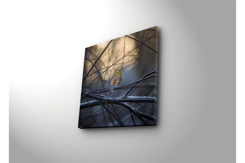 Dekorativ Canvasbilde - Flerfarget - Innredning - Bilder & kunst - Lerretsbilder