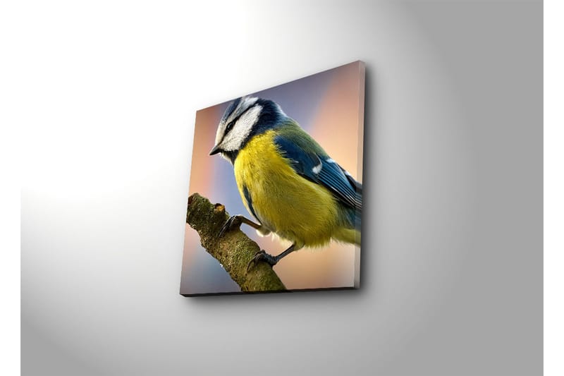 Dekorativ Canvasbilde - Flerfarget - Innredning - Bilder & kunst - Lerretsbilder