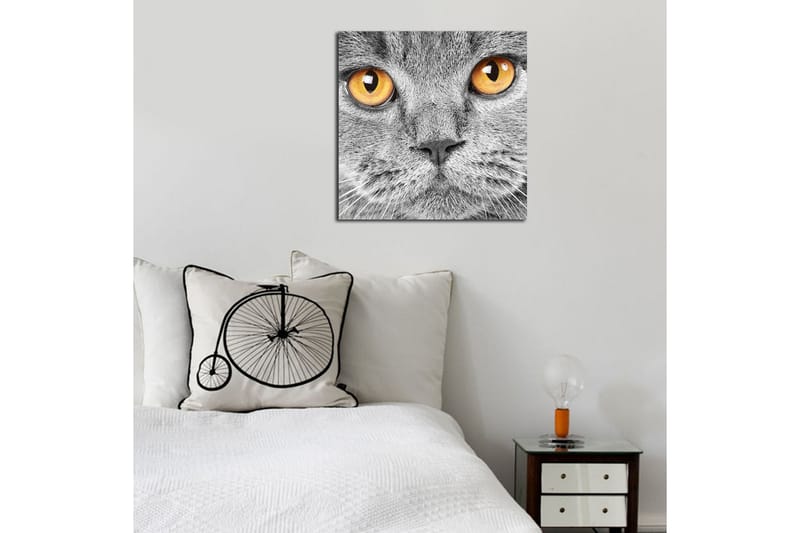Dekorativ Canvasbilde - Flerfarget - Innredning - Bilder & kunst - Lerretsbilder