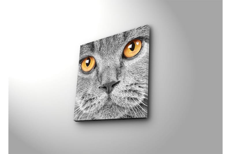 Dekorativ Canvasbilde - Flerfarget - Innredning - Bilder & kunst - Lerretsbilder