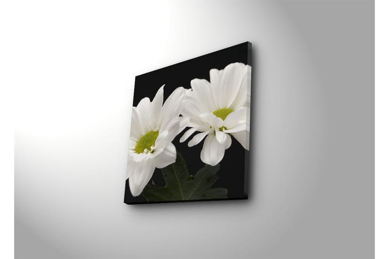 Dekorativ Canvasbilde - Flerfarget - Innredning - Bilder & kunst - Lerretsbilder