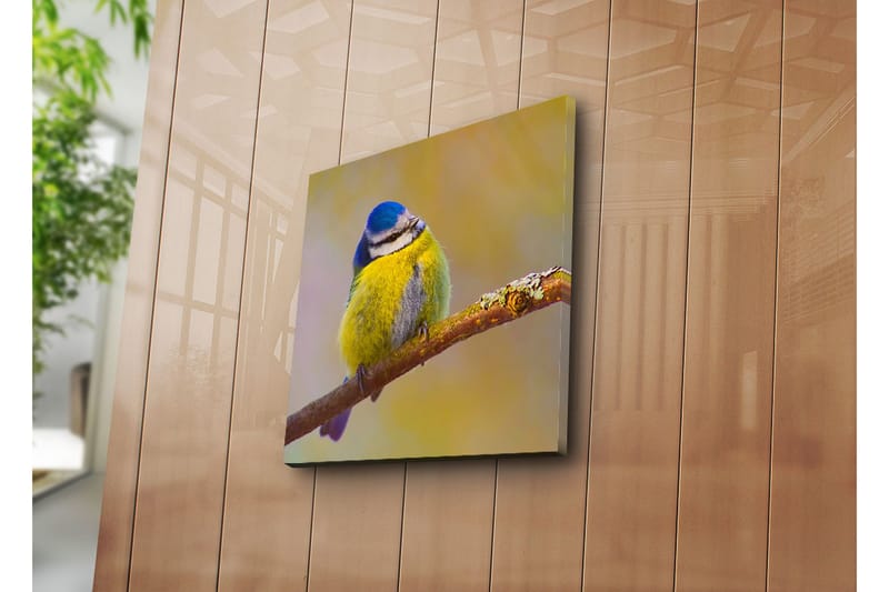 Dekorativ Canvasbilde - Flerfarget - Innredning - Bilder & kunst - Lerretsbilder