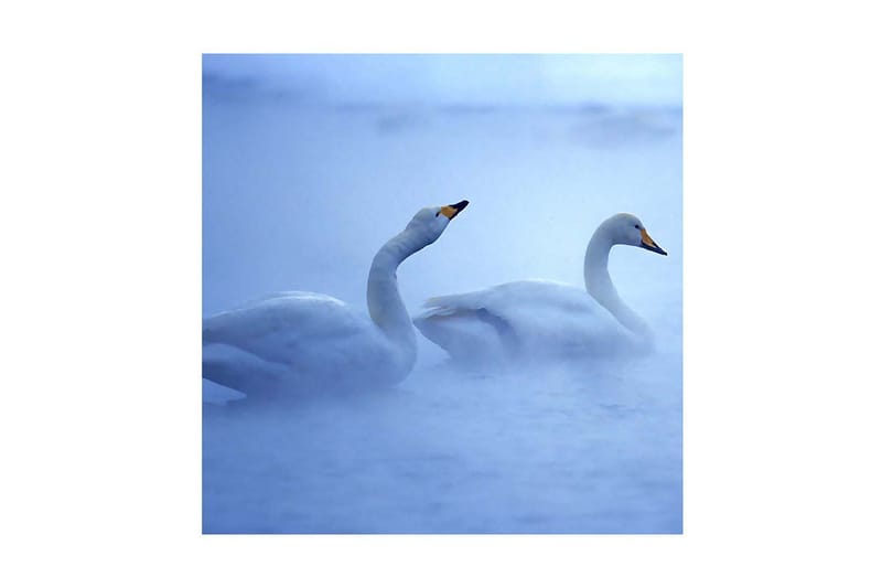 Dekorativ Canvasbilde - Flerfarget - Innredning - Bilder & kunst - Lerretsbilder