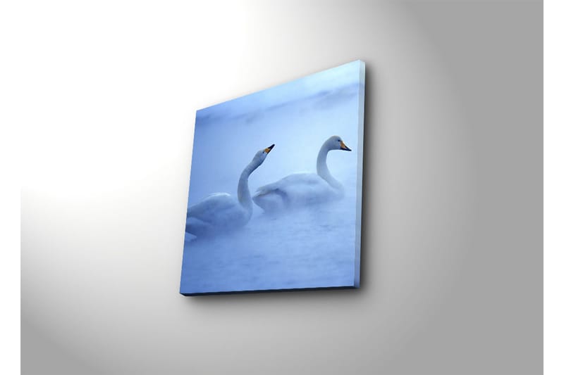 Dekorativ Canvasbilde - Flerfarget - Innredning - Bilder & kunst - Lerretsbilder